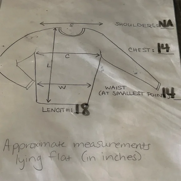 Pretty Blue Floral Crop Top - Picture 7 of 7